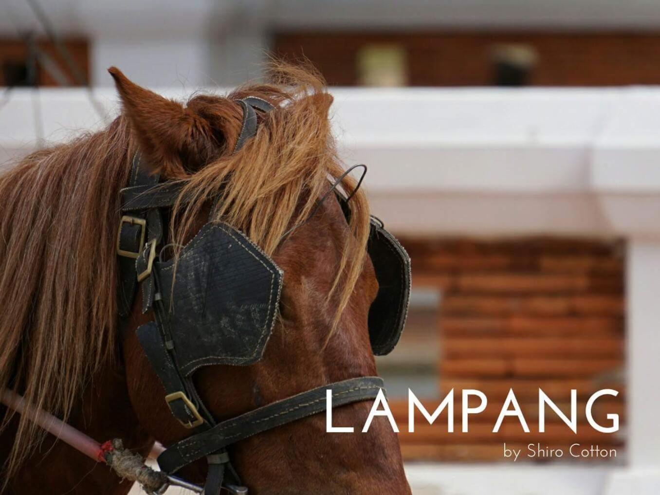 Kanecha's Home Lampang Exterior foto